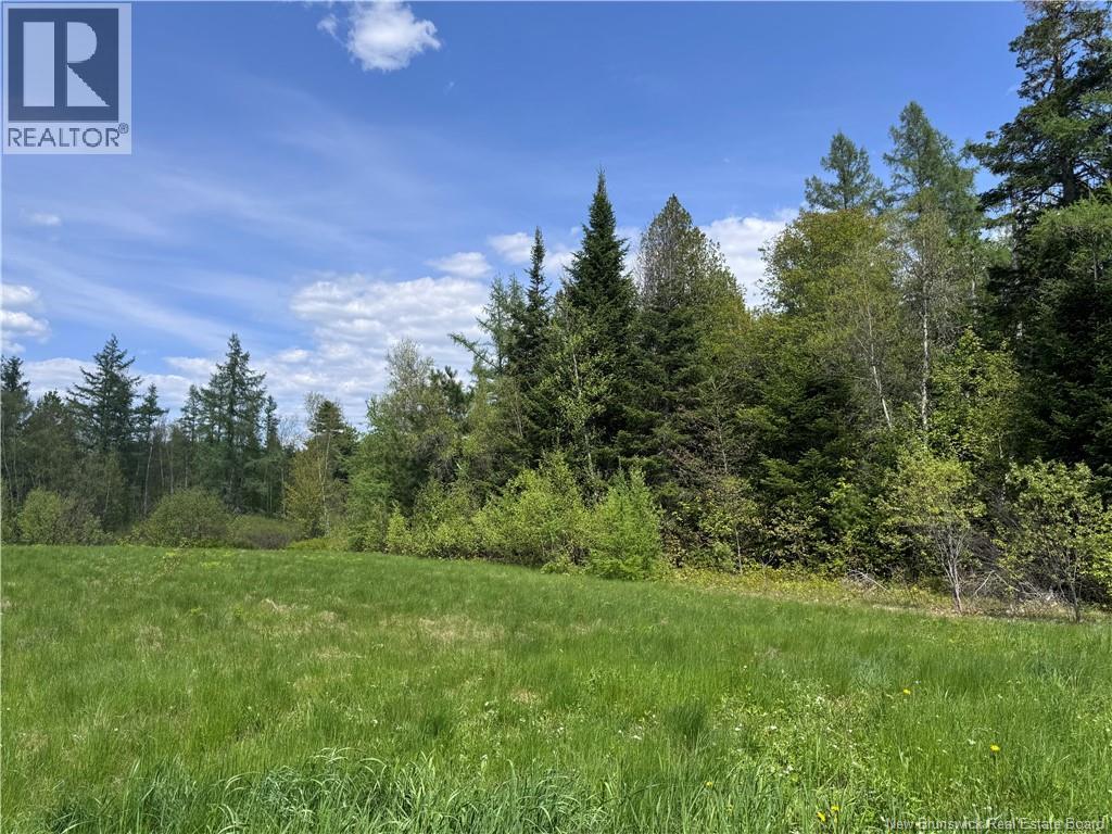 Lot Bridge Drive, Cambridge-Narrows, New Brunswick  E4C 1W3 - Photo 7 - NB117163
