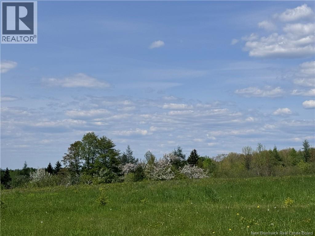 Lot Bridge Drive, Cambridge-Narrows, New Brunswick  E4C 1W3 - Photo 11 - NB117163