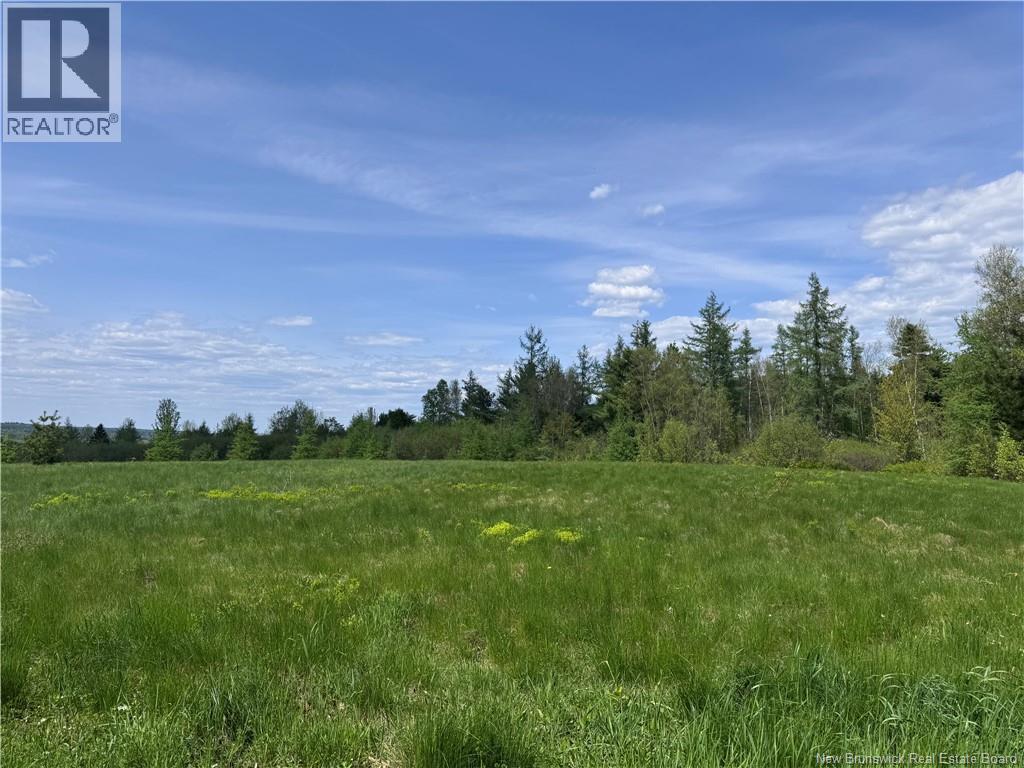 Lot Bridge Drive, Cambridge-Narrows, New Brunswick  E4C 1W3 - Photo 8 - NB117163