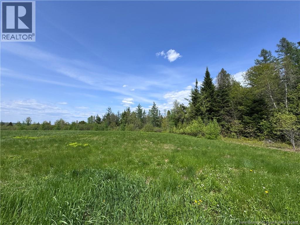 Lot Bridge Drive, Cambridge-Narrows, New Brunswick  E4C 1W3 - Photo 5 - NB117163