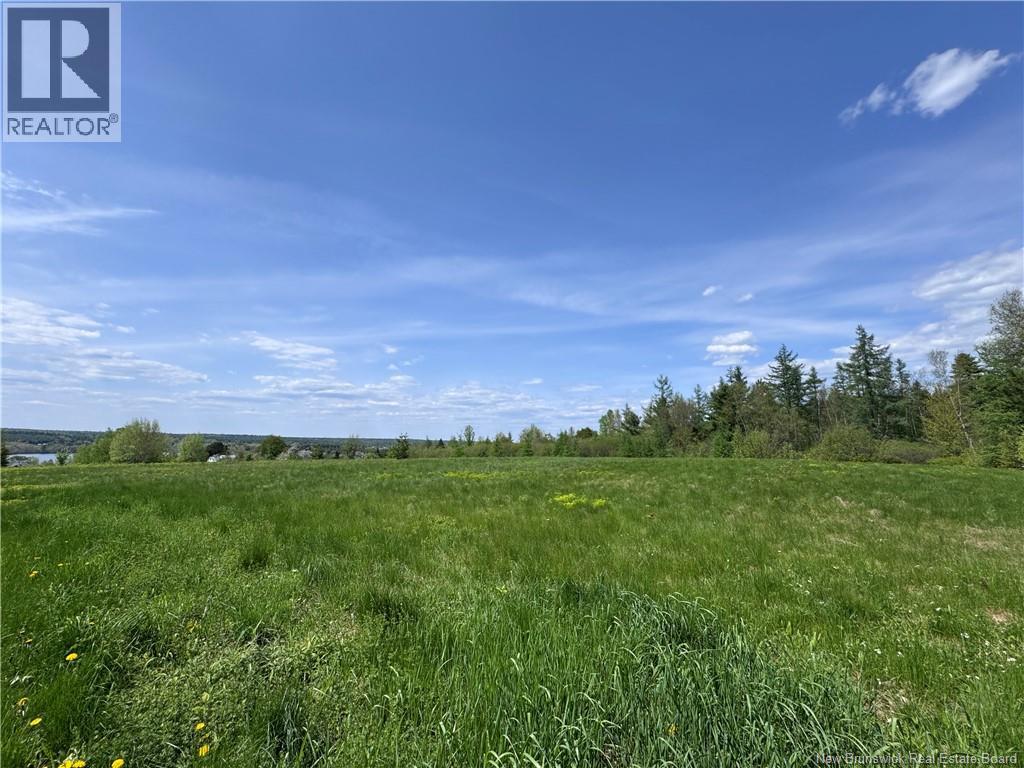 Lot Bridge Drive, Cambridge-Narrows, New Brunswick  E4C 1W3 - Photo 6 - NB117163