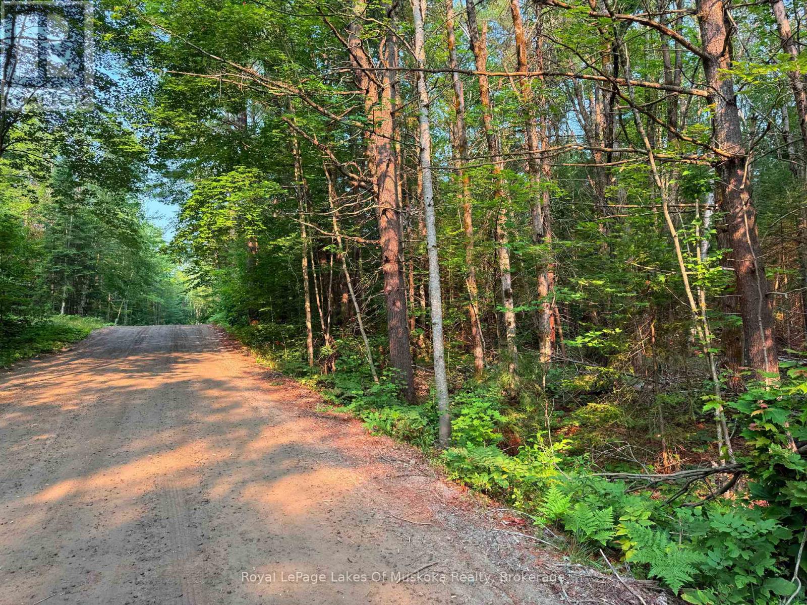 Pt 3 Of 35r27632 Carlsmount Road, Bracebridge, Ontario  P1L 1X1 - Photo 2 - X12326680