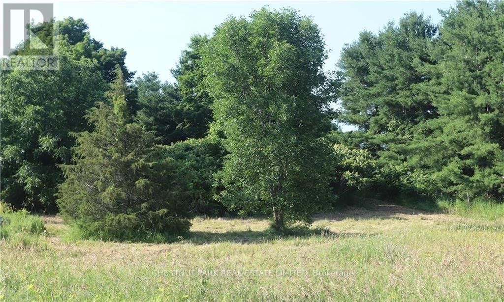 Lot 35 Prinyers Cove Crescent, Prince Edward County, Ontario  K0K 2T0 - Photo 6 - X12322436