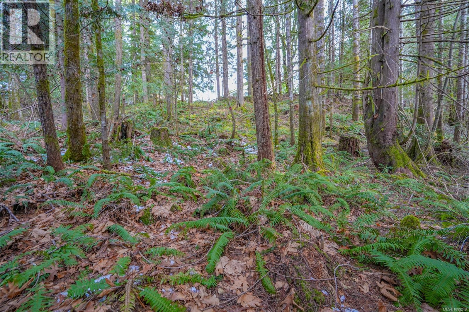 10440 Wilson Rd, Port Alberni, British Columbia  V9Y 9A3 - Photo 29 - 1009249