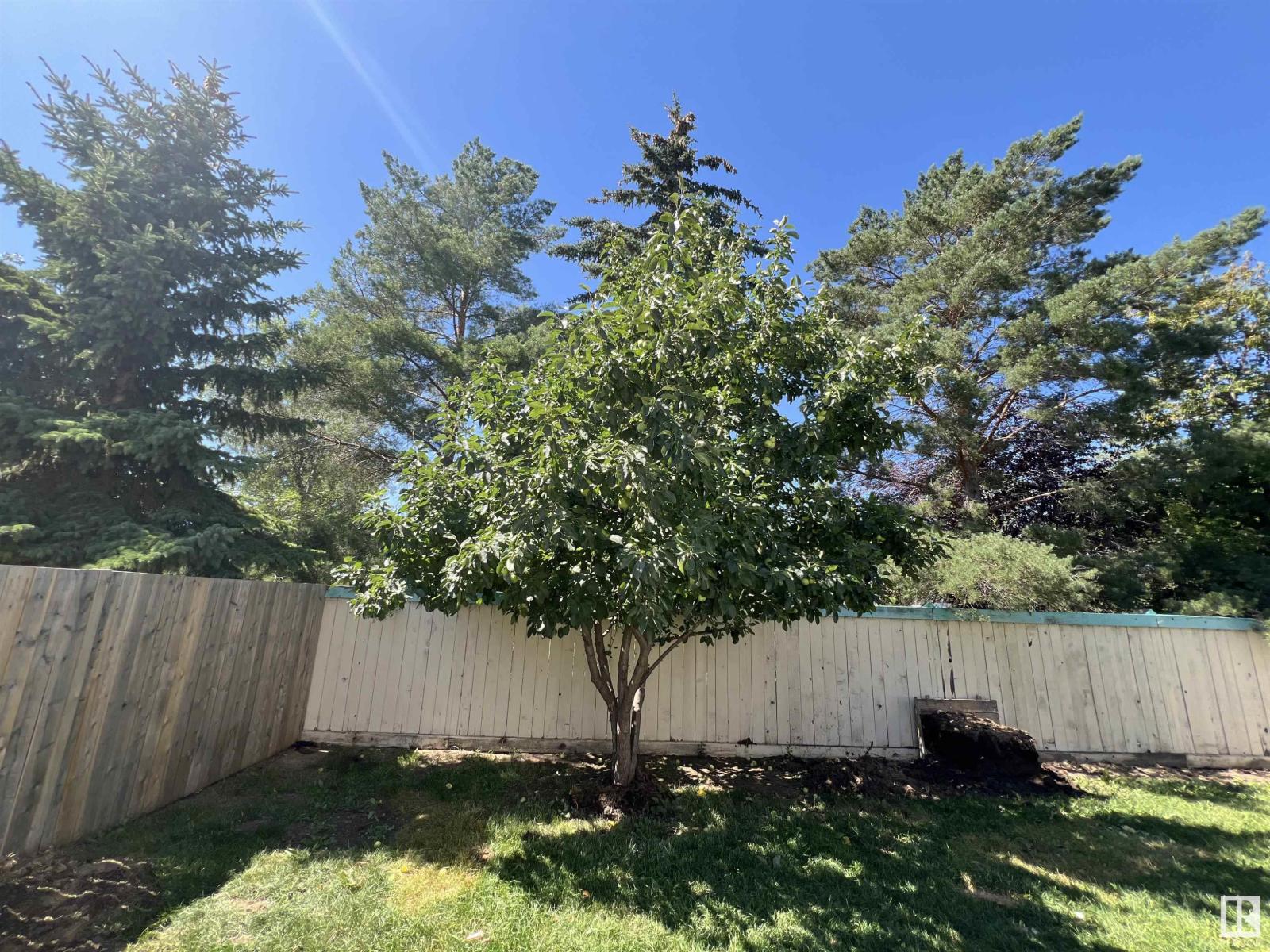 908 Jordan Cr Nw, Edmonton, Alberta  T6L 6X5 - Photo 48 - E4450963