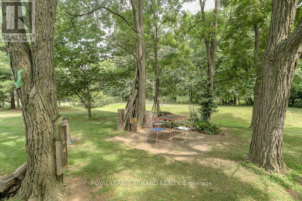 14 Poplar Street, Dutton/dunwich (Wallacetown), Ontario  N0L 2M0 - Photo 17 - X12326902