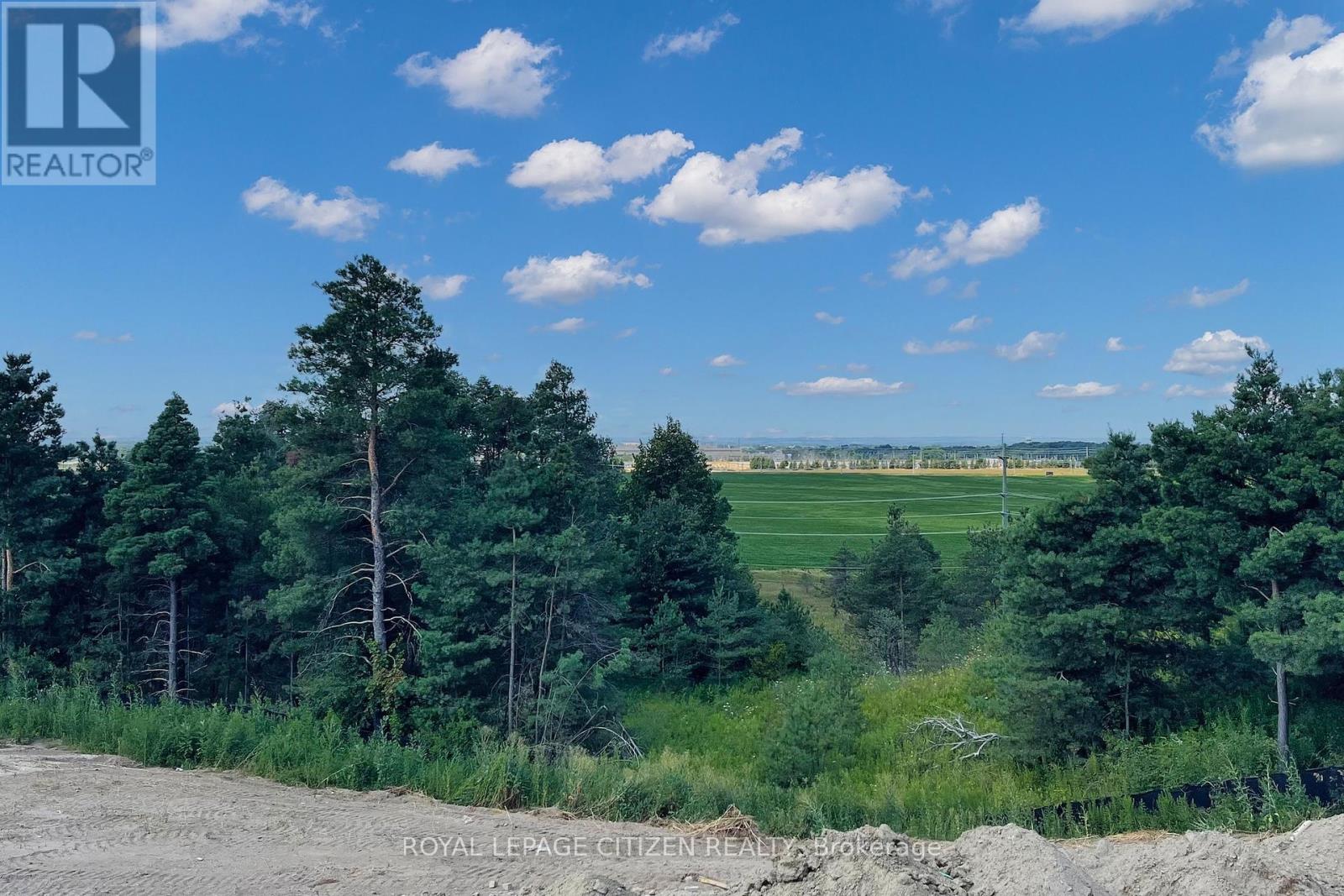 82 Lawrence D. Pridham Avenue, New Tecumseth, Ontario  L9R 0X1 - Photo 45 - N12326801