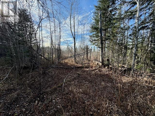 Pcl 17837/24623 Sandy Point Rd, Borups Corners, Ontario  P0V 1P0 - Photo 3 - TB243534