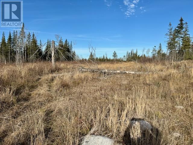 Pcl 17837/24623 Sandy Point Rd, Borups Corners, Ontario  P0V 1P0 - Photo 5 - TB243534