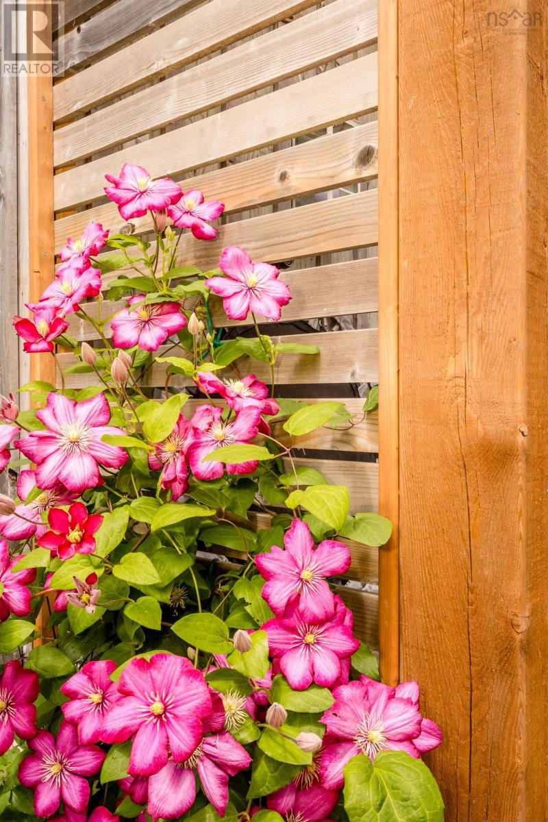 261 Main Street, Berwick, Nova Scotia  B0P 1E0 - Photo 45 - 202504372