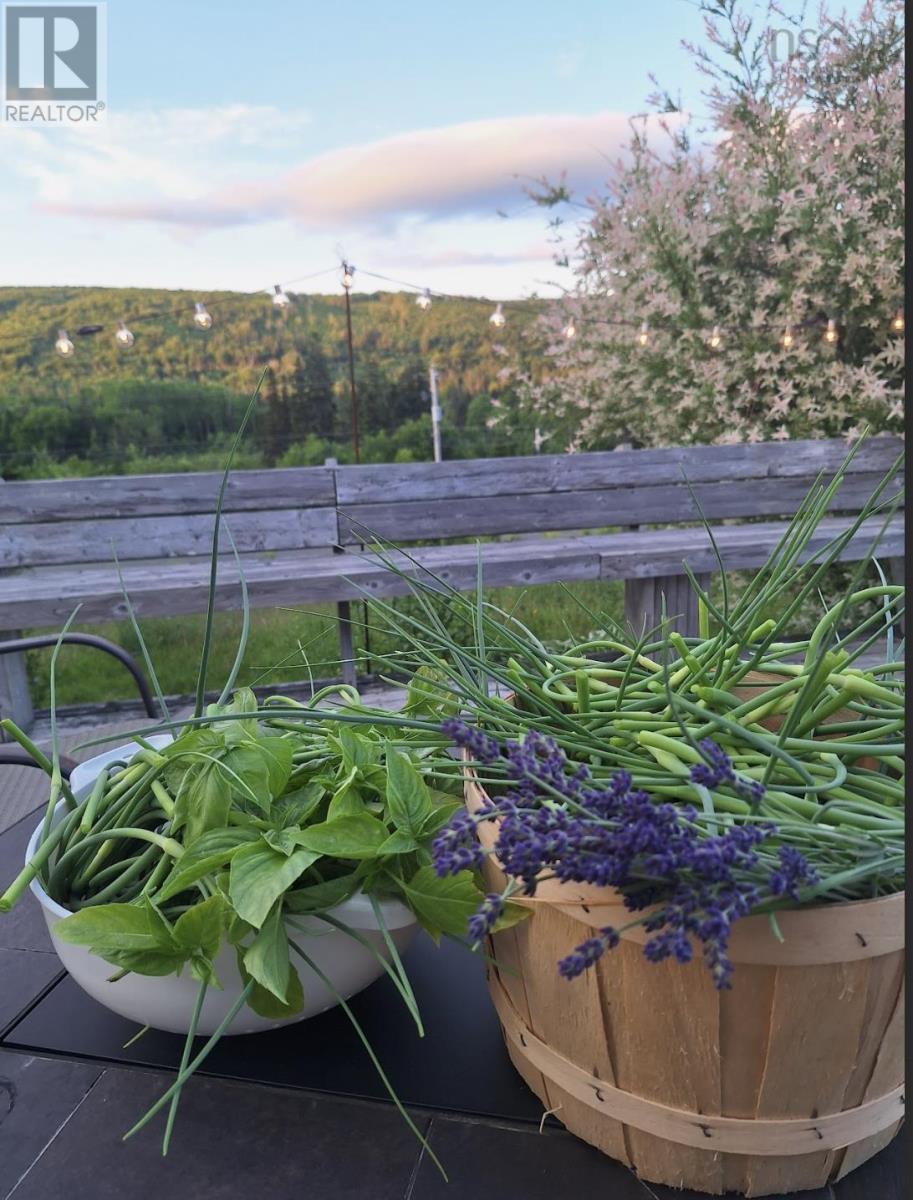 1315 Highway 252, Skye Glen, Nova Scotia  B0E 3M0 - Photo 11 - 202512738