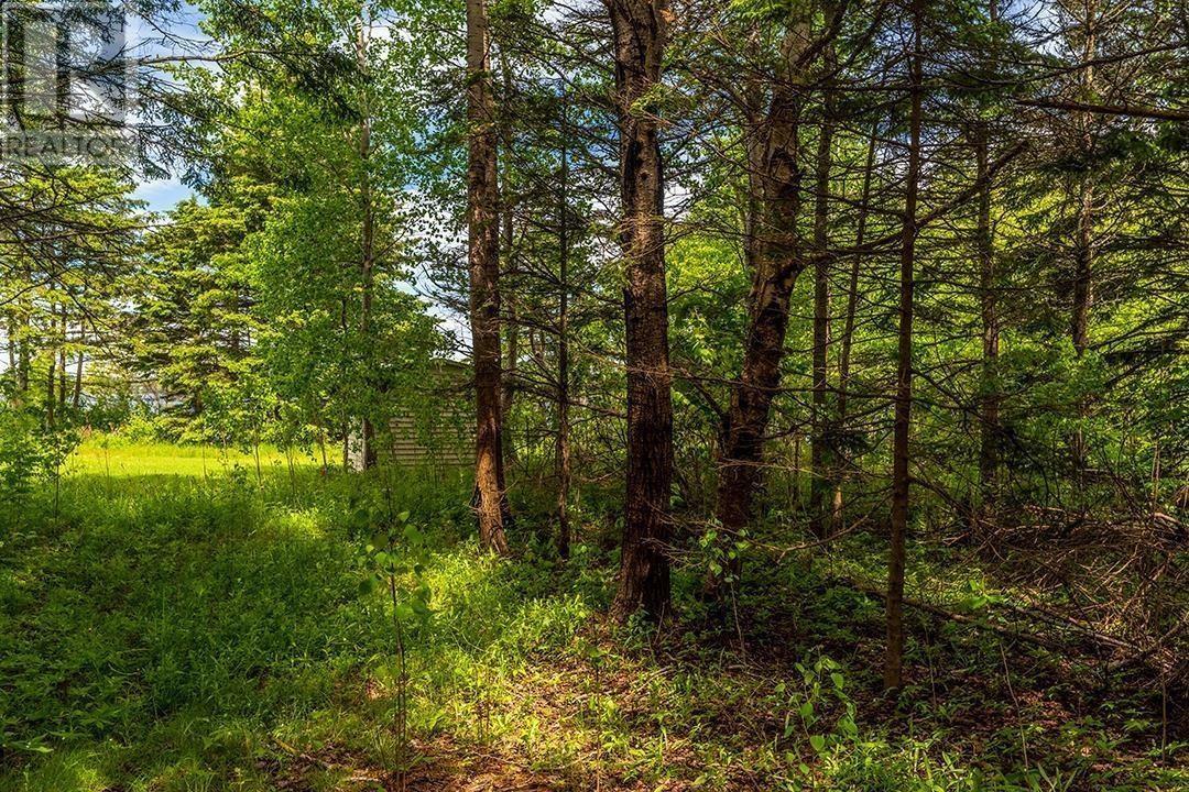 Lot 107 Riverbank Drive, Johnstons River, Prince Edward Island  C1B 3E7 - Photo 4 - 202519753
