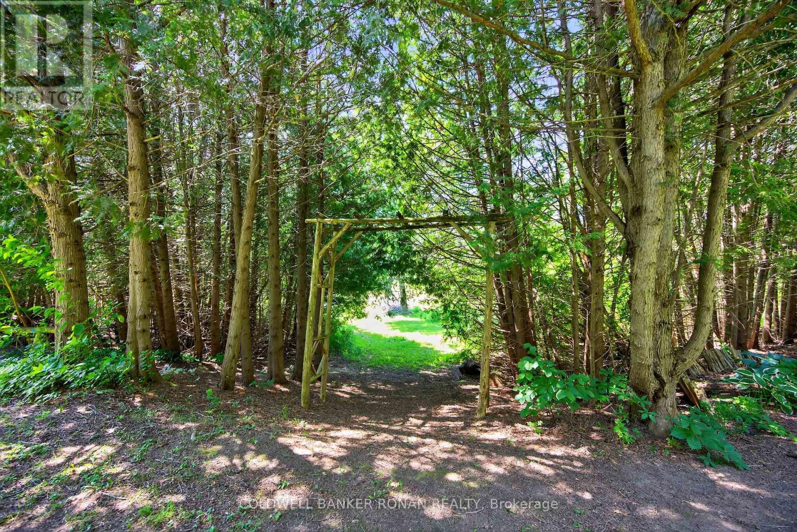 10 Margaret Avenue, Adjala-Tosorontio, Ontario  L0M 1J0 - Photo 48 - N12327212
