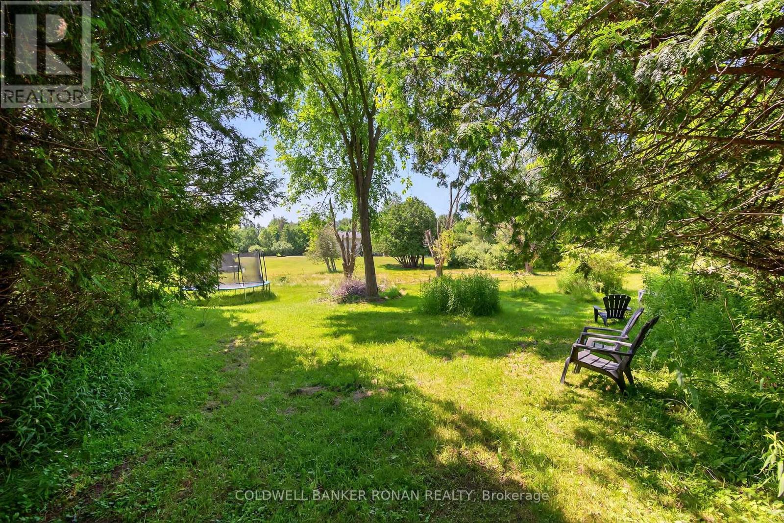 10 Margaret Avenue, Adjala-Tosorontio, Ontario  L0M 1J0 - Photo 49 - N12327212