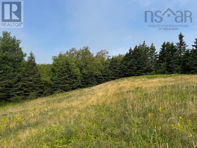 Garden Lots Lot 4a Blue Rocks Road, Lunenburg, Nova Scotia  B0J 2C0 - Photo 5 - 202519757