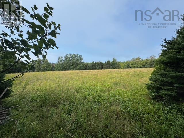 Garden Lots Lot 4a Blue Rocks Road, Lunenburg, Nova Scotia  B0J 2C0 - Photo 9 - 202519757