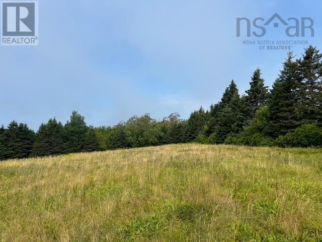 Garden Lots Lot 4a Blue Rocks Road, Lunenburg, Nova Scotia  B0J 2C0 - Photo 7 - 202519757