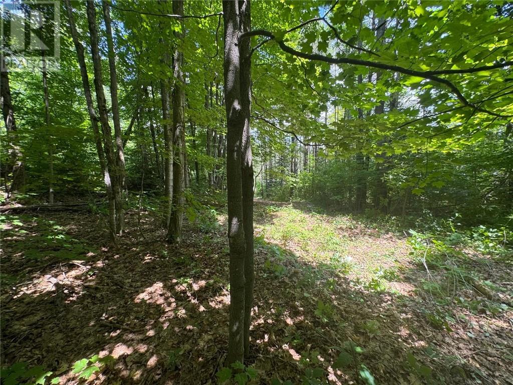 Pin 521800430, Seguin, Ontario  P2A 0B2 - Photo 1 - 2123960