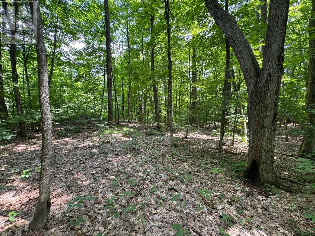 Pin 521800430, Seguin, Ontario  P2A 0B2 - Photo 2 - 2123960