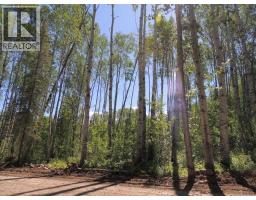 Lot #36 Wapiti River Sw-21-69-10-W6, Rural Grande Prairie No. 1, County Of, Ca