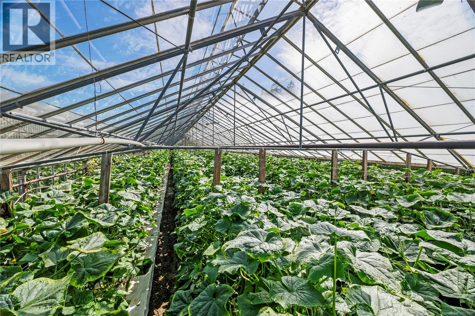 6070 Oldfield Rd, Saanich, British Columbia  V9E 2J4 - Photo 10 - 1007980