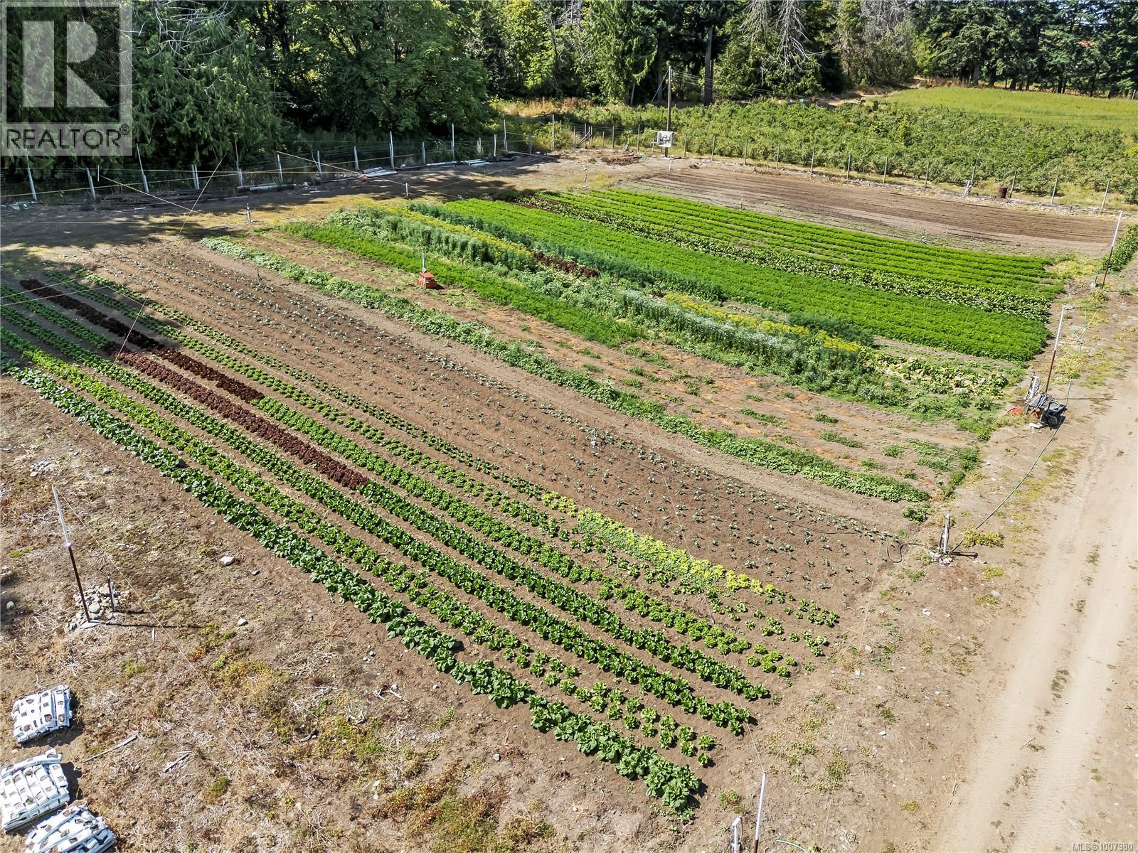 6070 Oldfield Rd, Saanich, British Columbia  V9E 2J4 - Photo 28 - 1007980