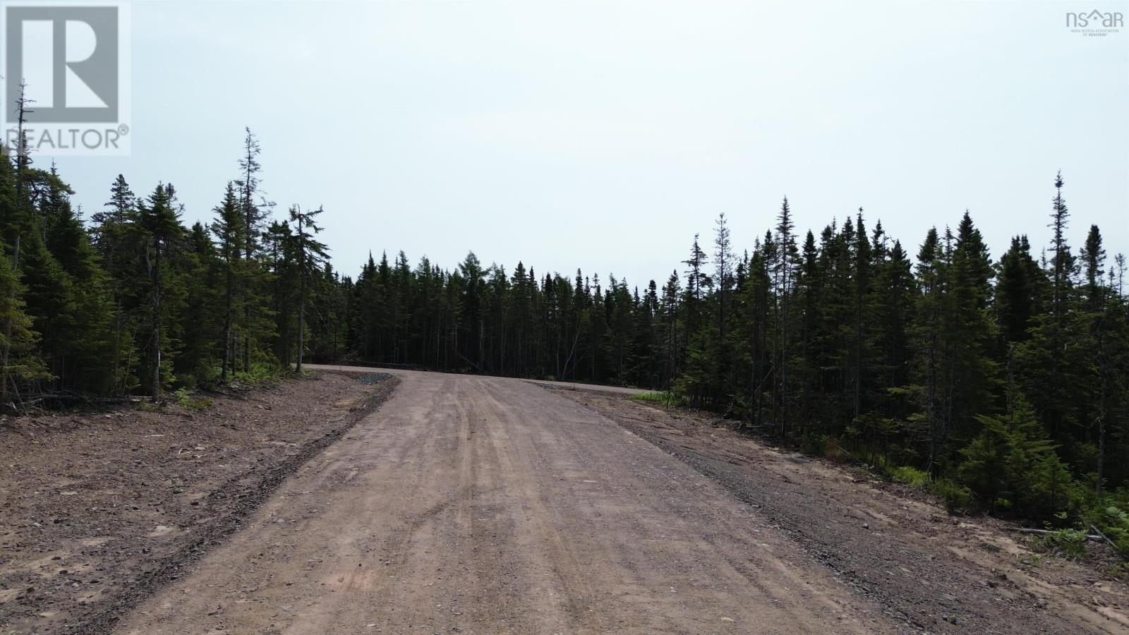 Lot 8 Highway 247, Grand Greve, Nova Scotia  B0E 3B0 - Photo 4 - 202421726