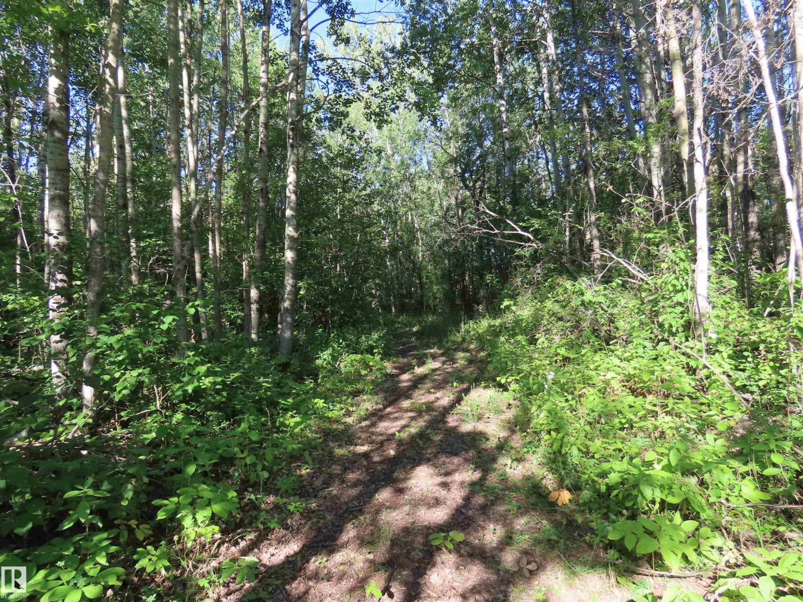 #41 6004 TWP ROAD 534, Rural Parkland County, Alberta