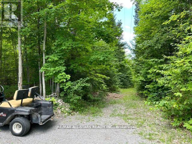 Lot 312 - 1802 County Rd 121, Kawartha Lakes, Ontario  K0M 1N0 - Photo 26 - X12327831