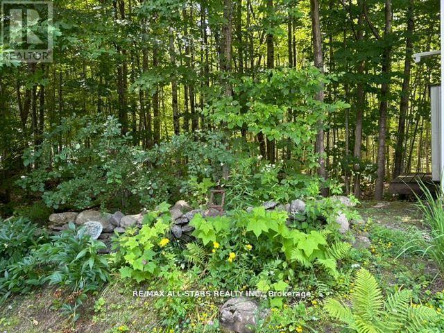 Lot 312 - 1802 County Rd 121, Kawartha Lakes, Ontario  K0M 1N0 - Photo 7 - X12327831