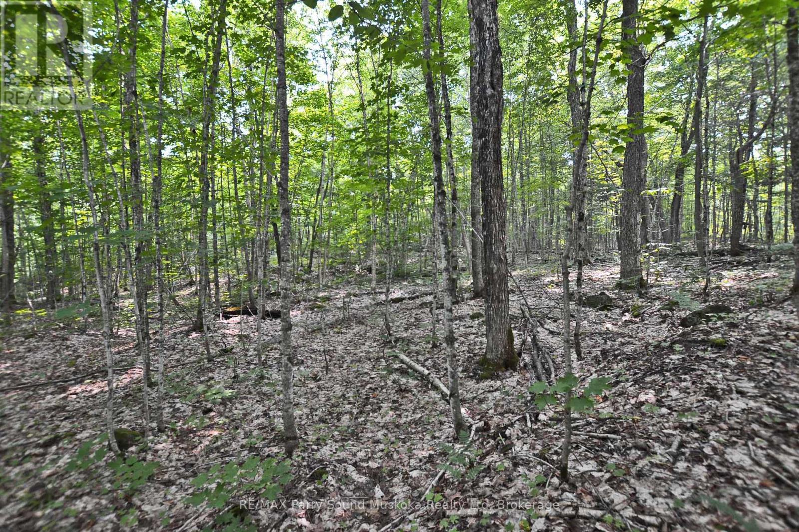 Part 2 - 0 Lyndsey Lane, Mckellar, Ontario  P2A 0B5 - Photo 13 - X12327836