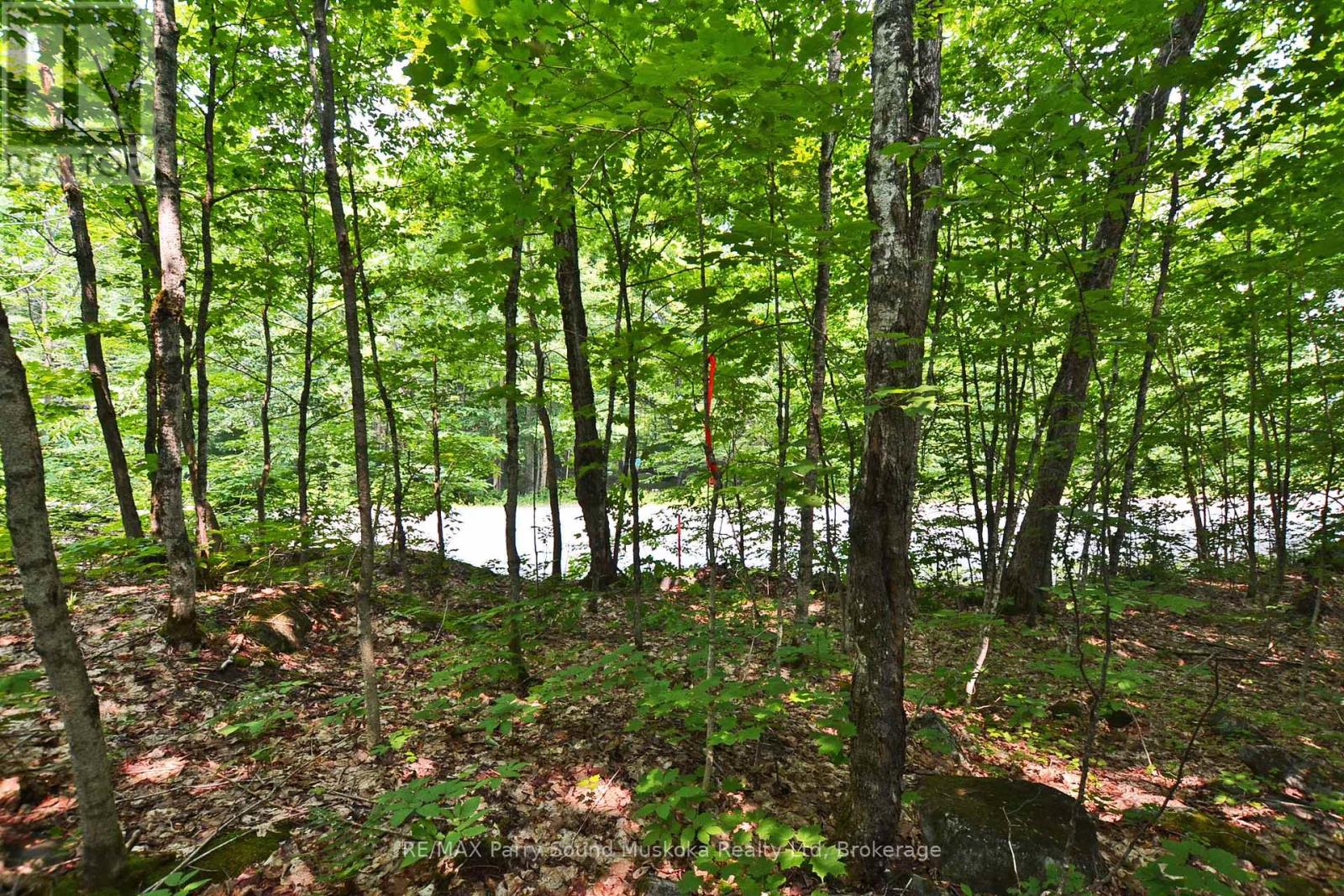 Part 2 - 0 Lyndsey Lane, Mckellar, Ontario  P2A 0B5 - Photo 14 - X12327836
