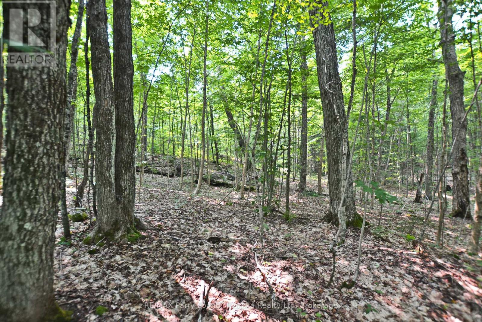Part 2 - 0 Lyndsey Lane, Mckellar, Ontario  P2A 0B5 - Photo 15 - X12327836