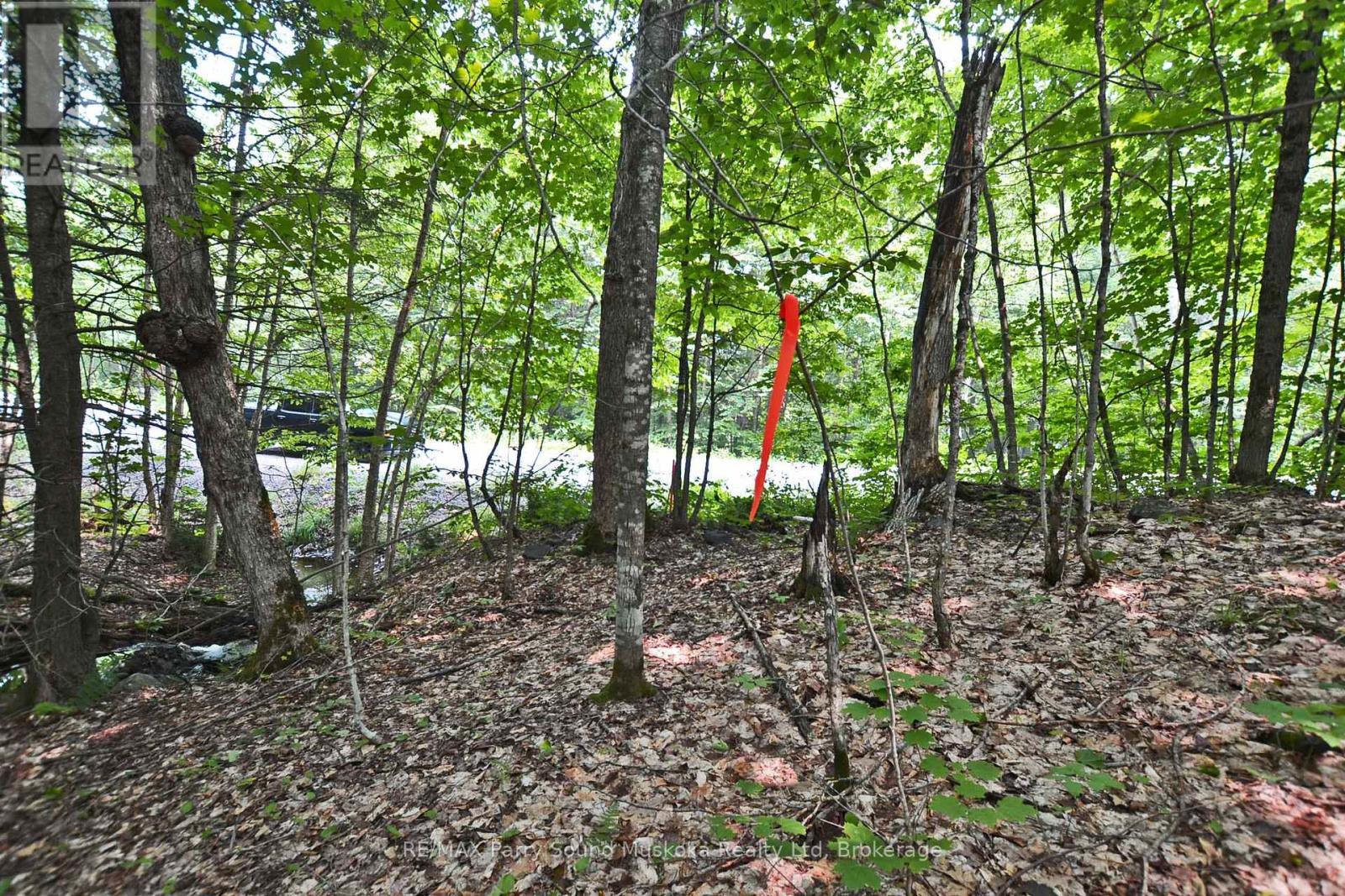 Part 2 - 0 Lyndsey Lane, Mckellar, Ontario  P2A 0B5 - Photo 18 - X12327836