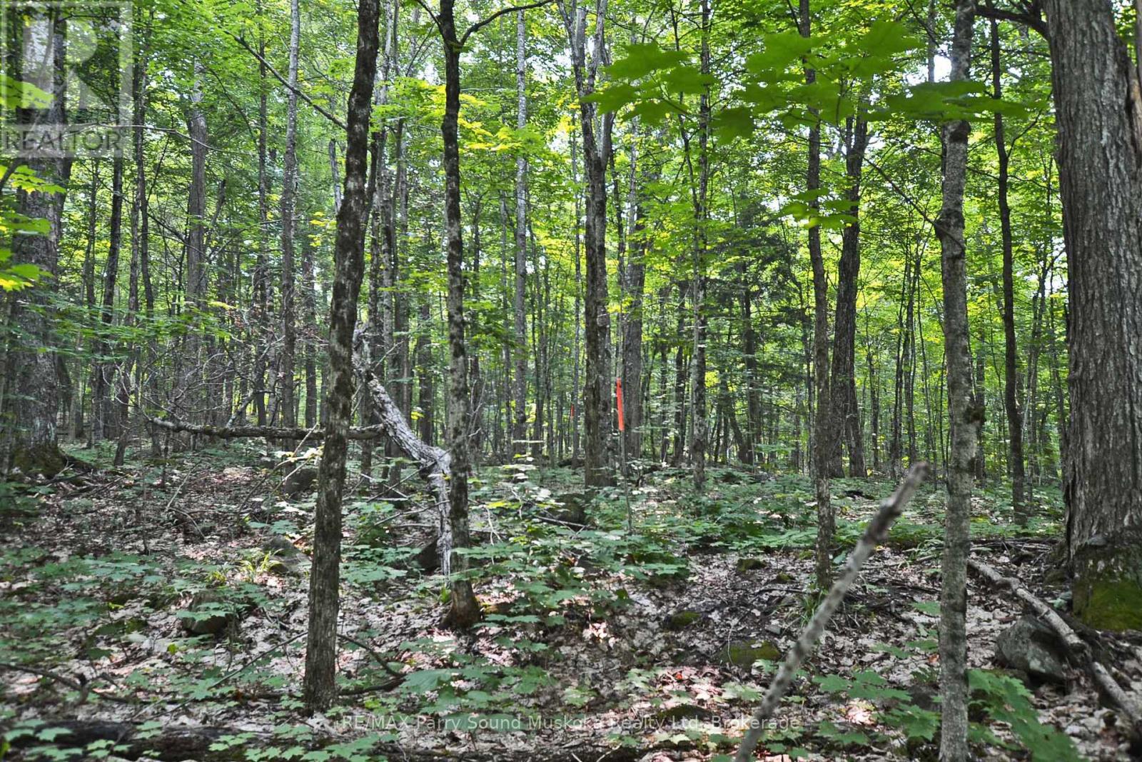 Part 2 - 0 Lyndsey Lane, Mckellar, Ontario  P2A 0B5 - Photo 2 - X12327836
