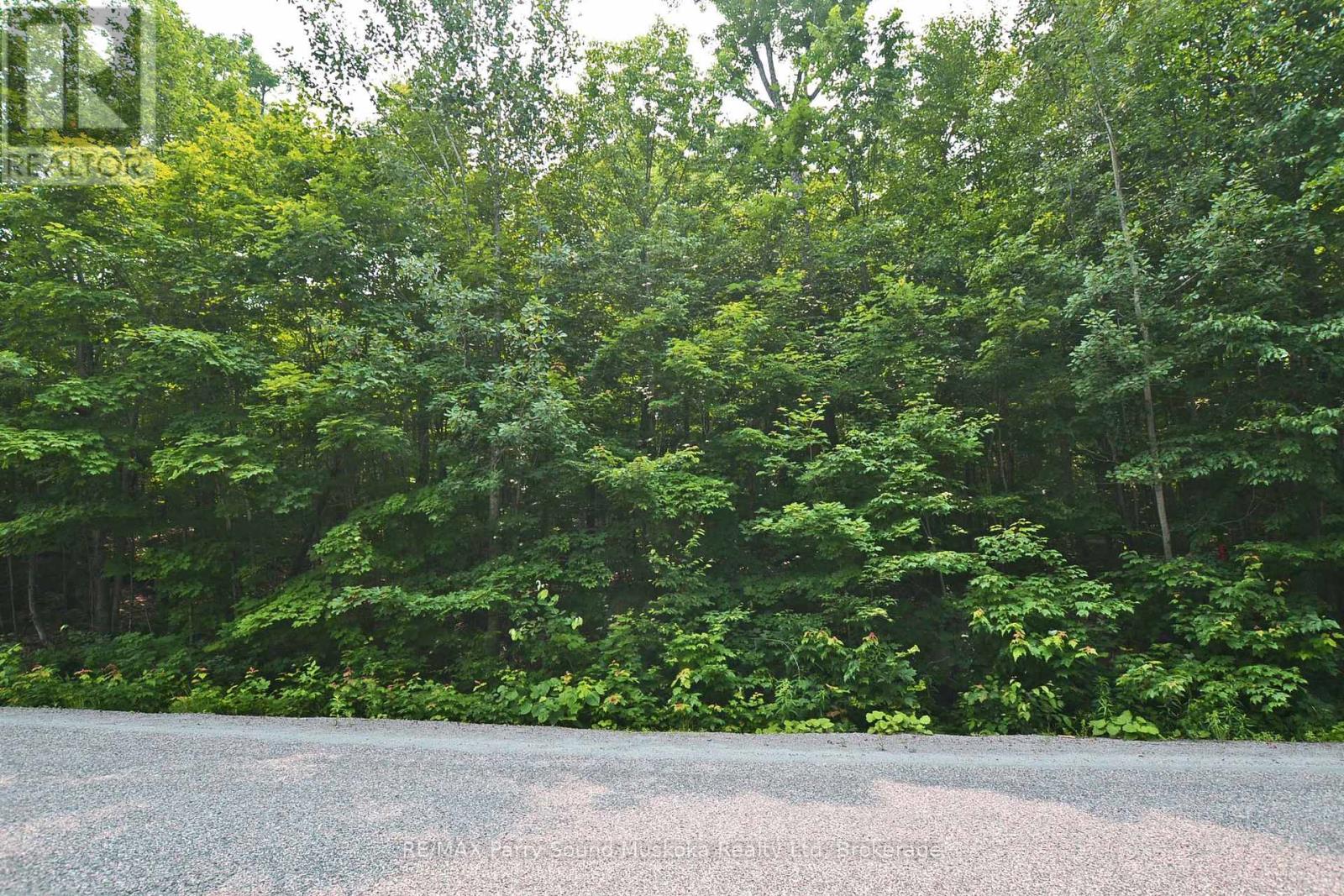 Part 2 - 0 Lyndsey Lane, Mckellar, Ontario  P2A 0B5 - Photo 3 - X12327836