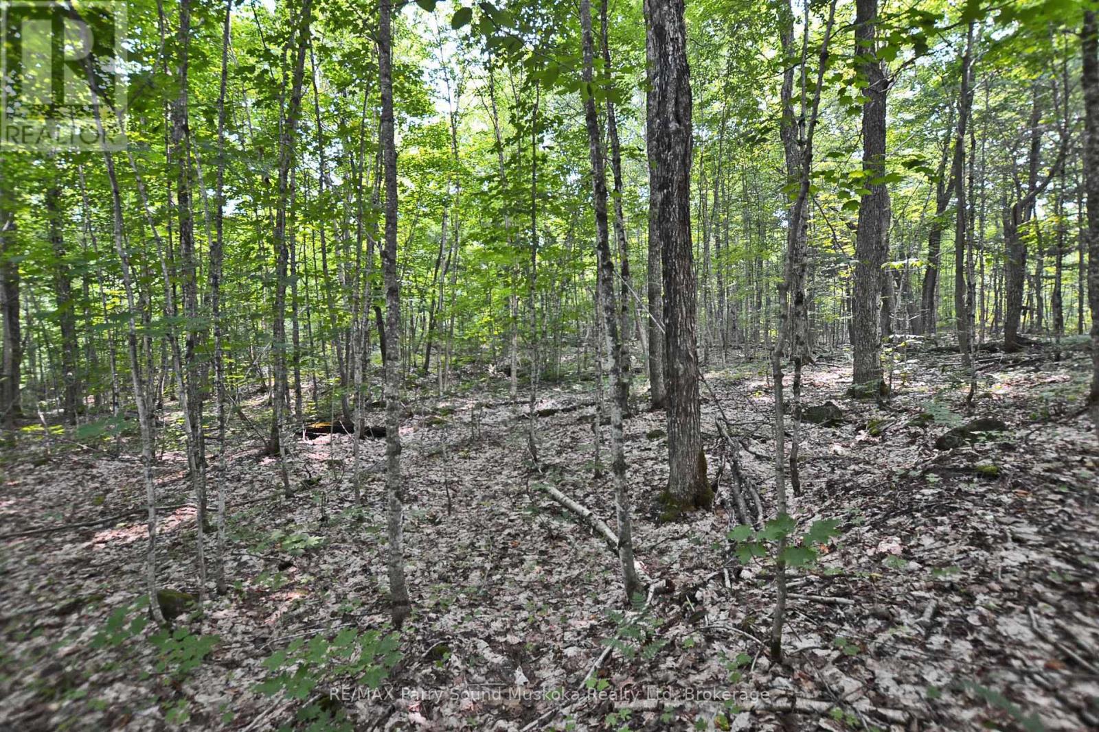 Part 1 - 0 Lyndsey Lane, Mckellar, Ontario  P2A 0B5 - Photo 15 - X12327842