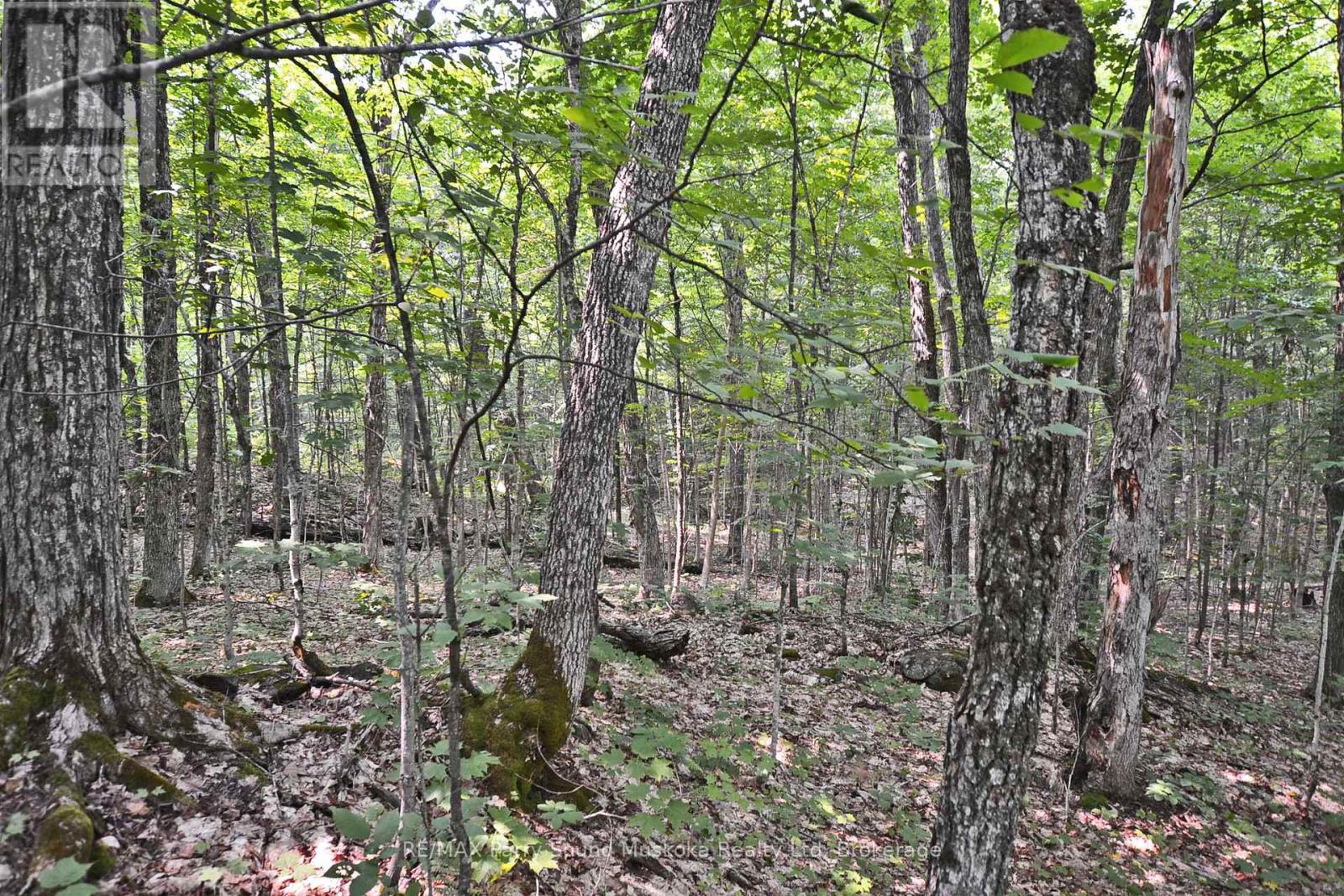 Part 1 - 0 Lyndsey Lane, Mckellar, Ontario  P2A 0B5 - Photo 16 - X12327842