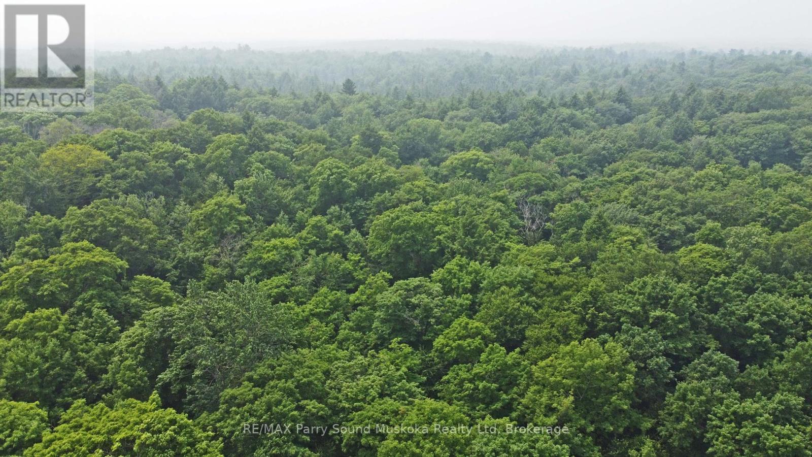 Part 1 - 0 Lyndsey Lane, Mckellar, Ontario  P2A 0B5 - Photo 6 - X12327842