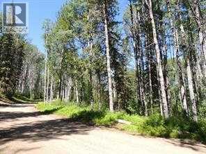 Lot #10 Wapiti River Sw-21-69-10-W6, County Of, Alberta  T0H 1J0 - Photo 3 - A2246279
