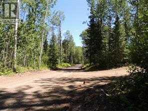 Lot #10 Wapiti River Sw-21-69-10-W6, County Of, Alberta  T0H 1J0 - Photo 4 - A2246279