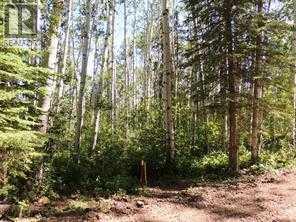 Lot #10 Wapiti River Sw-21-69-10-W6, County Of, Alberta  T0H 1J0 - Photo 2 - A2246279