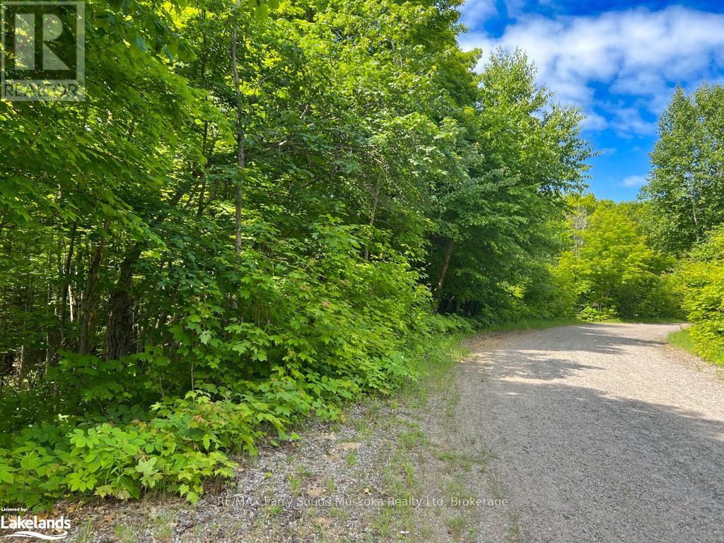 Lot 7 Kribs Road, Magnetawan, Ontario  P0A 1A0 - Photo 3 - X12327999