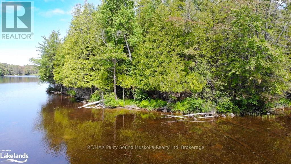 Lot 6 Kribs Road, Magnetawan, Ontario  P0A 1A0 - Photo 5 - X12328002