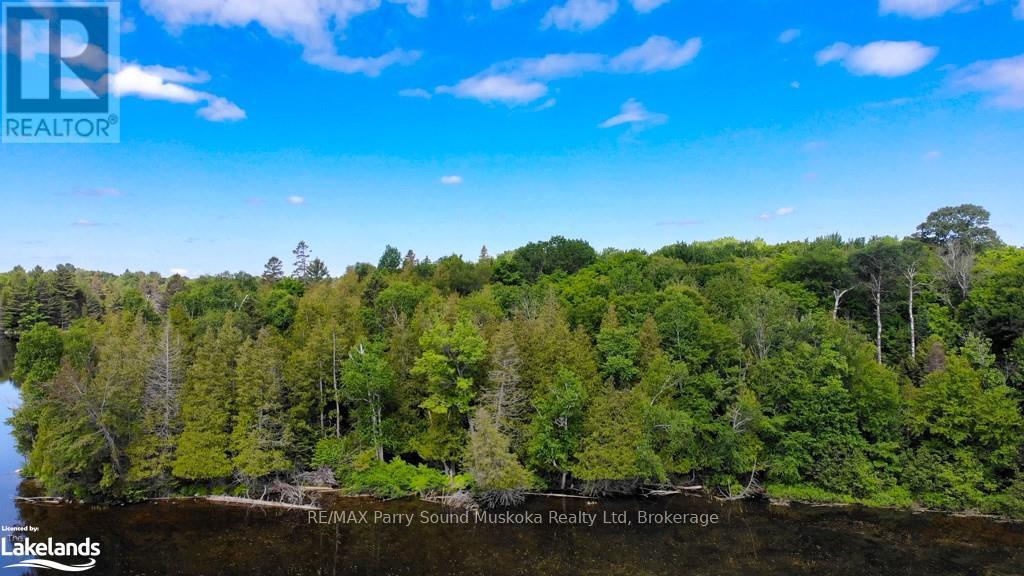 Lot 6 Kribs Road, Magnetawan, Ontario  P0A 1A0 - Photo 9 - X12328002