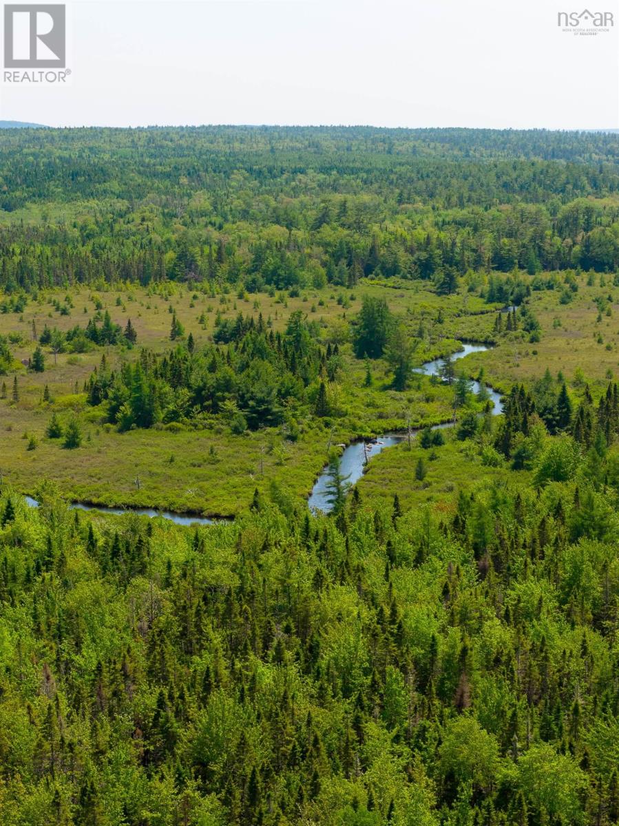 64 Noonan Lake Lane, Simms Settlement, Nova Scotia  B0J 1T0 - Photo 48 - 202516474