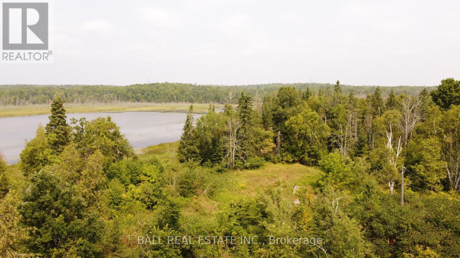 892 County Rd 40, Douro-Dummer, Ontario  K0L 2V0 - Photo 10 - X12328047