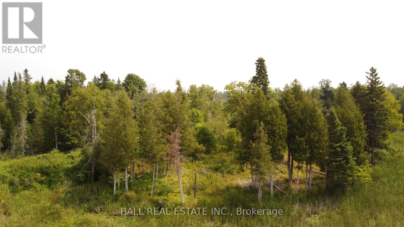 892 County Rd 40, Douro-Dummer, Ontario  K0L 2V0 - Photo 12 - X12328047