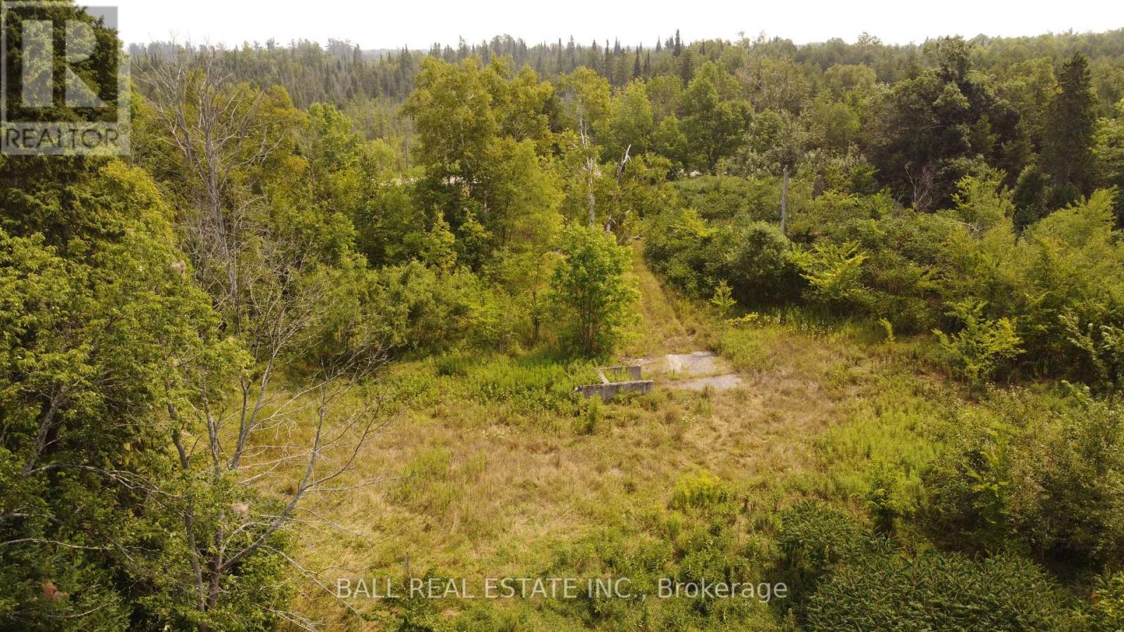892 County Rd 40, Douro-Dummer, Ontario  K0L 2V0 - Photo 13 - X12328047