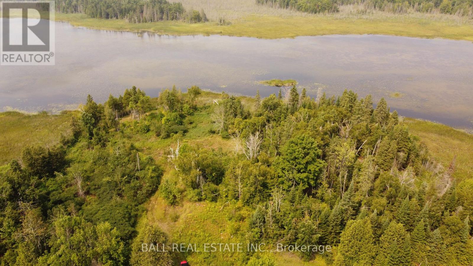 892 County Rd 40, Douro-Dummer, Ontario  K0L 2V0 - Photo 2 - X12328047